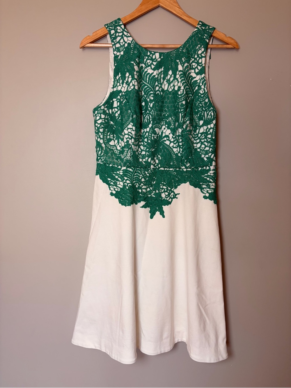 Moulinette Soeurs Anthropologie Green Crochet Lace Fit & Flare Dress Size 8